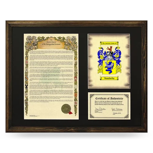 Numforthy Framed Surname History and Coat of Arms - Brown