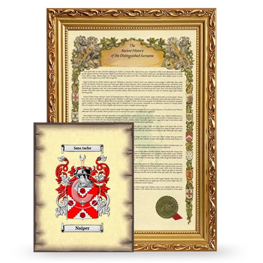 Naiper Framed History and Coat of Arms Print - Gold
