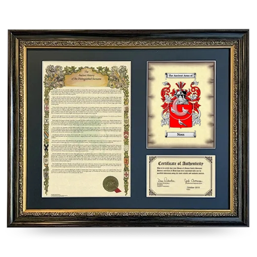 Noss Framed Surname History and Coat of Arms- Heirloom