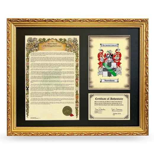 Nueenham Framed Surname History and Coat of Arms- Gold