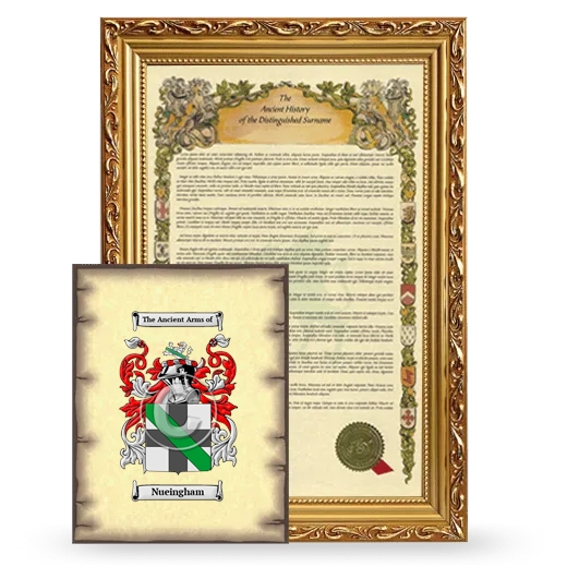 Nueingham Framed History and Coat of Arms Print - Gold