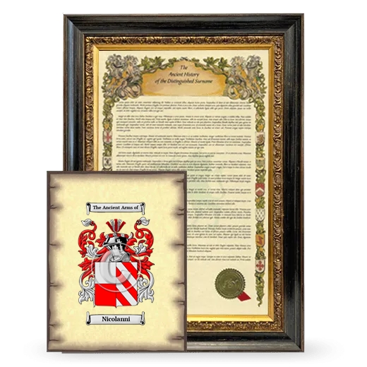 Nicolanni Framed History and Coat of Arms Print - Heirloom