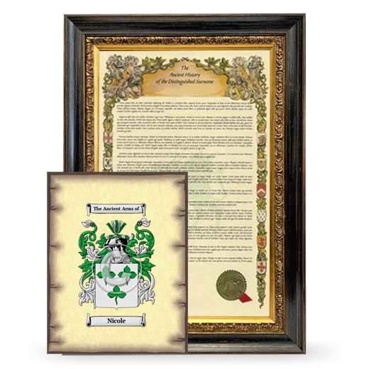 Nicole Framed History and Coat of Arms Print - Heirloom