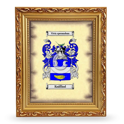 Kniffind Coat of Arms Framed - Gold