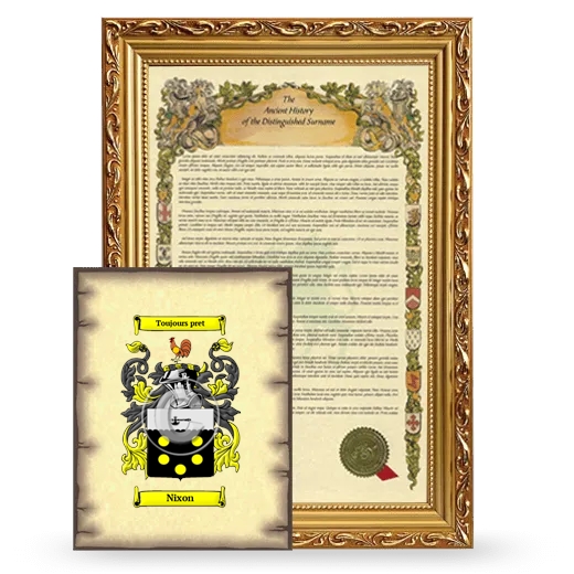 Nixon Framed History and Coat of Arms Print - Gold