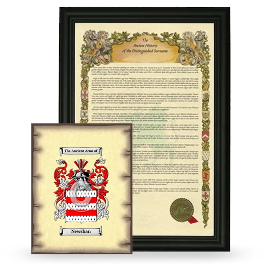 Newshan Framed History and Coat of Arms Print - Black