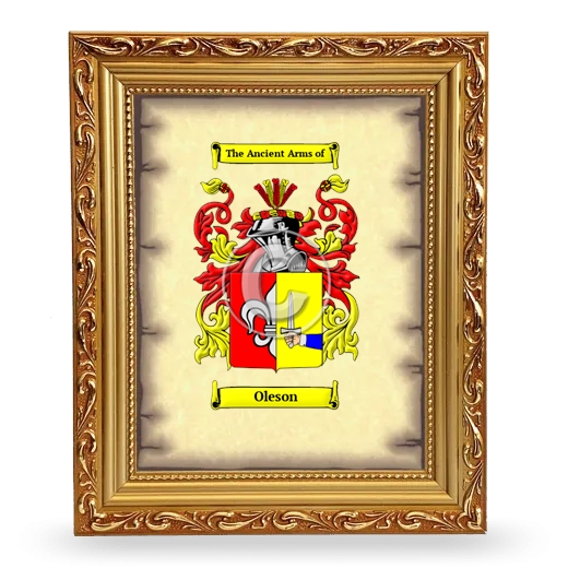 Oleson Coat of Arms Framed - Gold