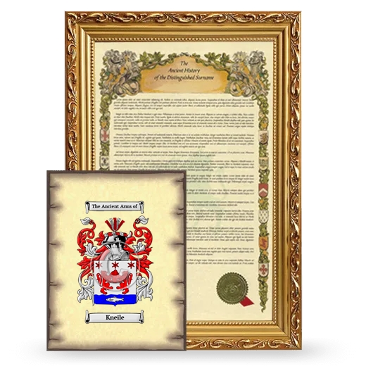 Kneile Framed History and Coat of Arms Print - Gold