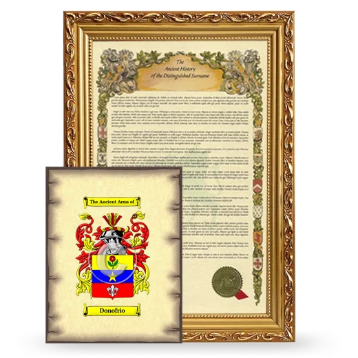 Donofrio Framed History and Coat of Arms Print - Gold