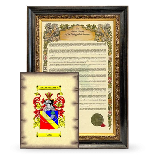 Ursi Framed History and Coat of Arms Print - Heirloom