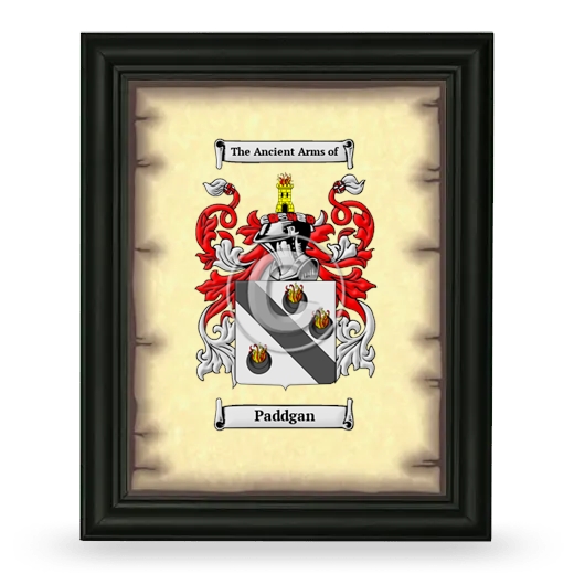 Paddgan Coat of Arms Framed - Black