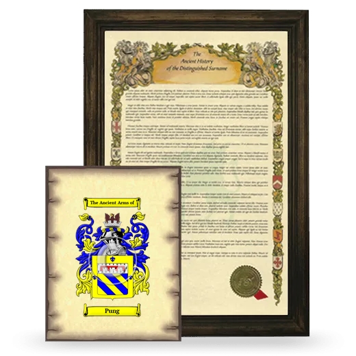 Pung Framed History and Coat of Arms Print - Brown