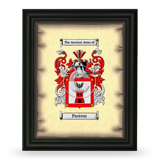 Pasteur Coat of Arms Framed - Black