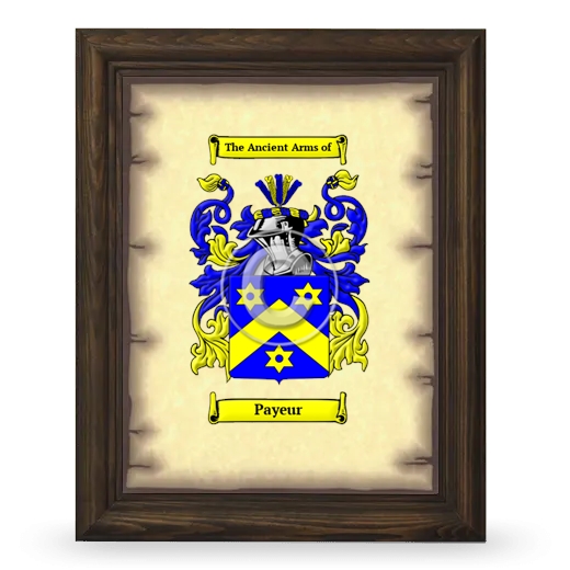 Payeur Coat of Arms Framed - Brown