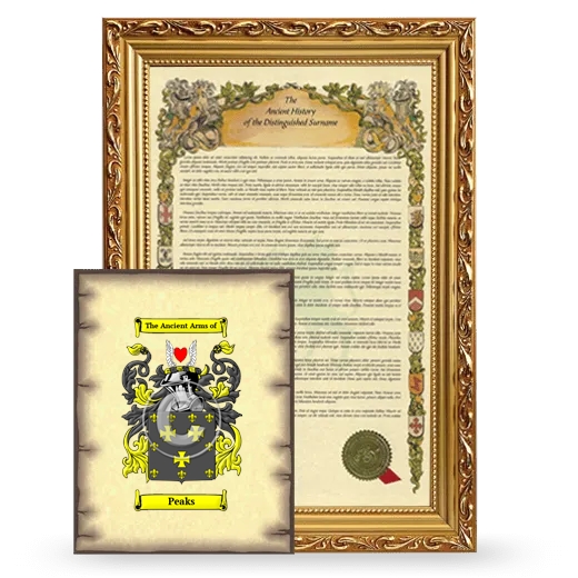 Peaks Framed History and Coat of Arms Print - Gold