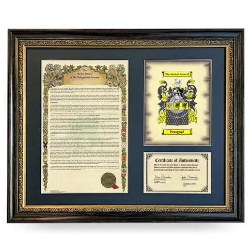 Peasgoyd Framed Surname History and Coat of Arms- Heirloom