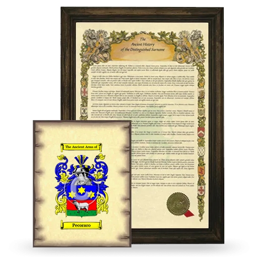 Pecoraro Framed History and Coat of Arms Print - Brown