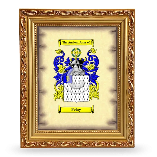 Pelay Coat of Arms Framed - Gold