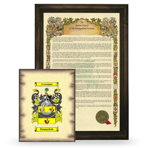 Pennycitch Framed History and Coat of Arms Print - Brown