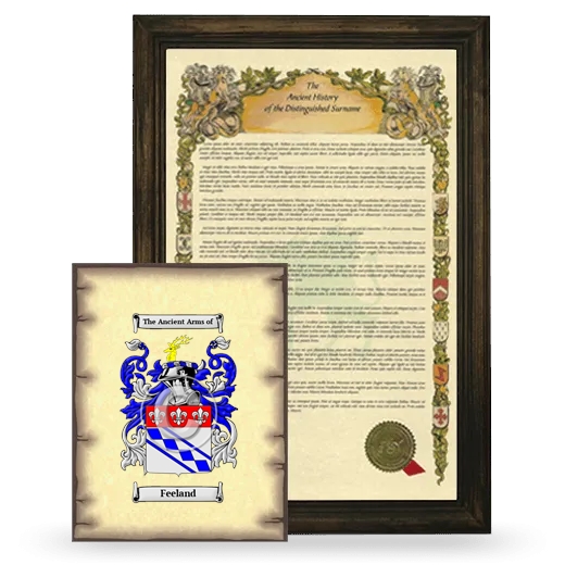 Feeland Framed History and Coat of Arms Print - Brown