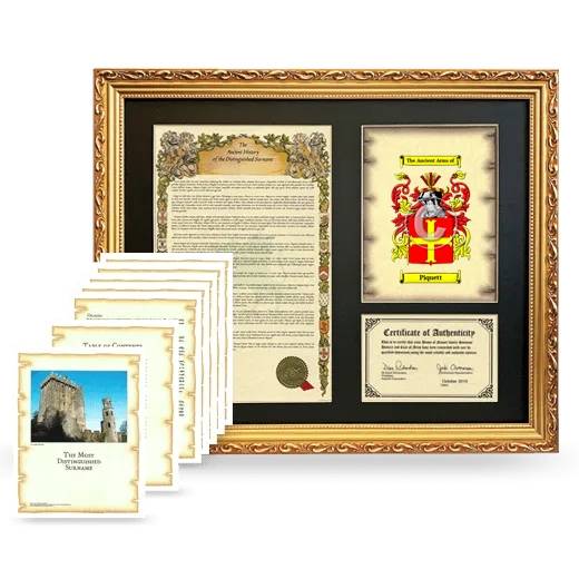 Piquett Framed History And Complete History - Gold