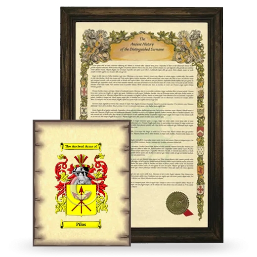 Pilos Framed History and Coat of Arms Print - Brown