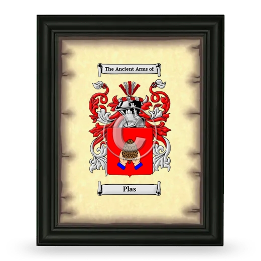 Plas Coat of Arms Framed - Black