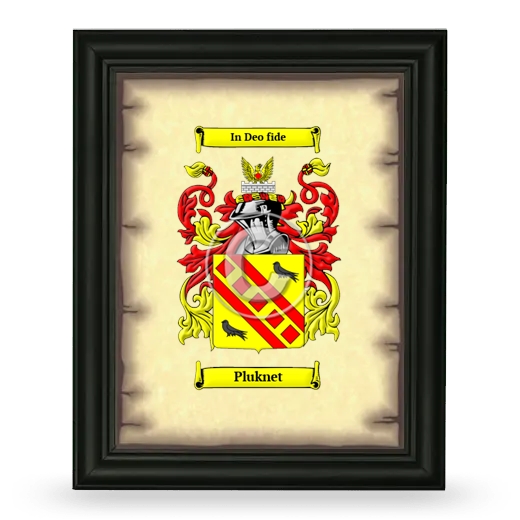 Pluknet Coat of Arms Framed - Black