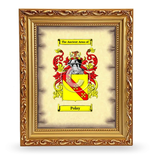 Polay Coat of Arms Framed - Gold