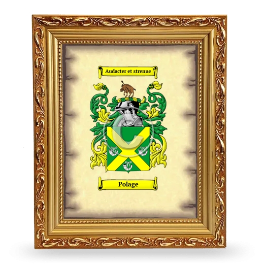 Polage Coat of Arms Framed - Gold