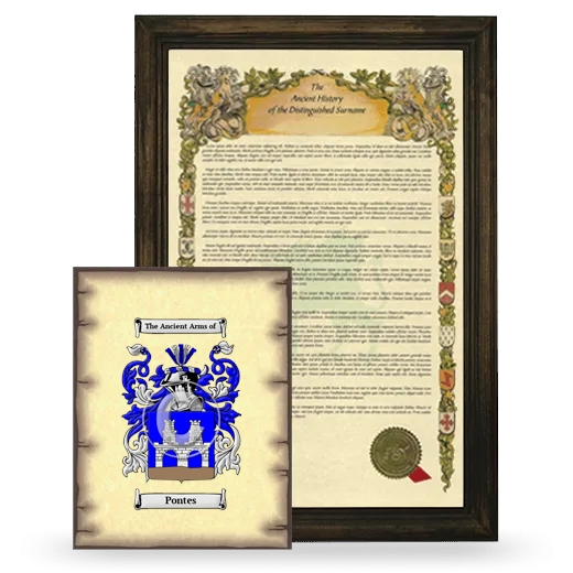 Pontes Framed History and Coat of Arms Print - Brown