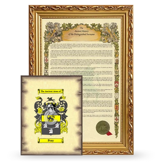 Pray Framed History and Coat of Arms Print - Gold