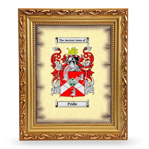 Pridie Coat of Arms Framed - Gold