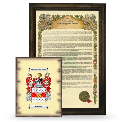 Probyn Framed History and Coat of Arms Print - Brown