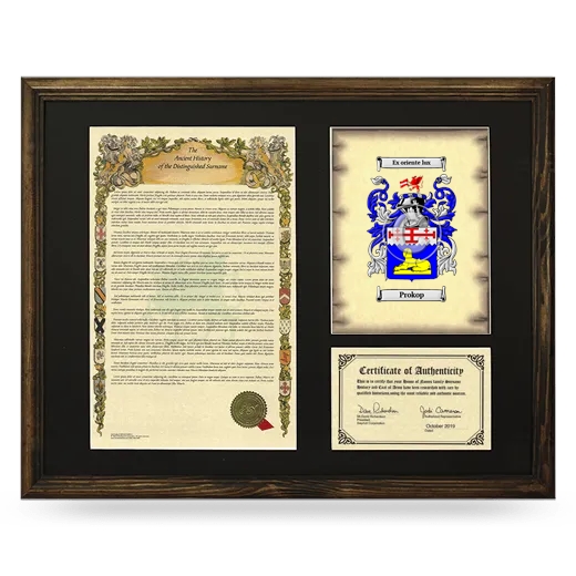 Prokop Framed Surname History and Coat of Arms - Brown