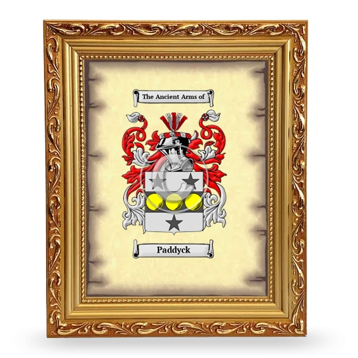 Paddyck Coat of Arms Framed - Gold