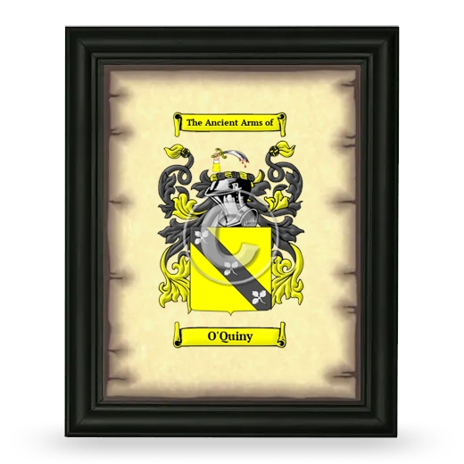 O'Quiny Coat of Arms Framed - Black