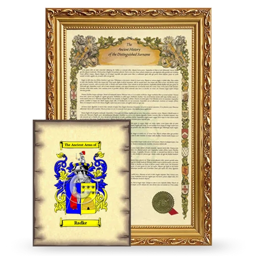 Radke Framed History and Coat of Arms Print - Gold