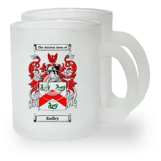 Radley Pair of Frosted Glass Mugs