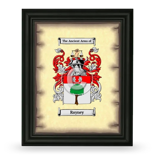 Rayney Coat of Arms Framed - Black
