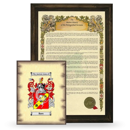 Raes Framed History and Coat of Arms Print - Brown