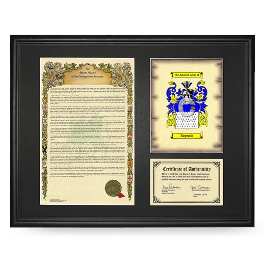 Raynair Framed Surname History and Coat of Arms - Black