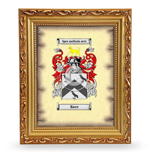 Race Coat of Arms Framed - Gold