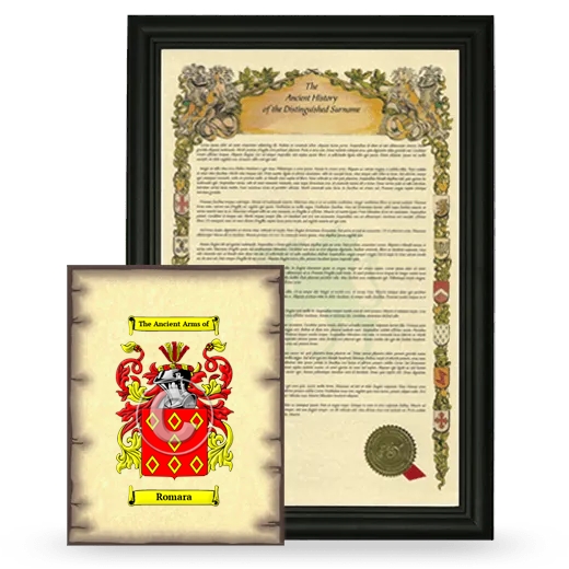 Romara Framed History and Coat of Arms Print - Black