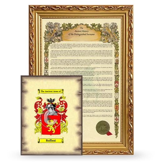 Ruffani Framed History and Coat of Arms Print - Gold