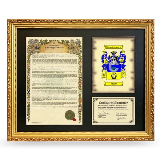 Runcy Framed Surname History and Coat of Arms- Gold