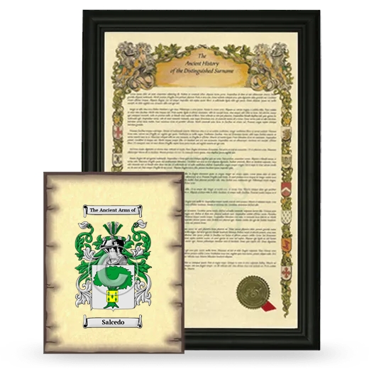 Salcedo Framed History and Coat of Arms Print - Black