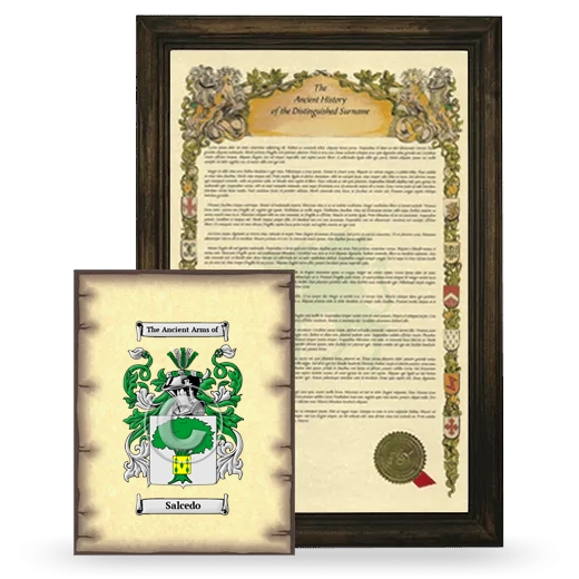 Salcedo Framed History and Coat of Arms Print - Brown