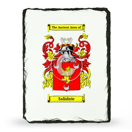 Salisbrie Coat of Arms Slate