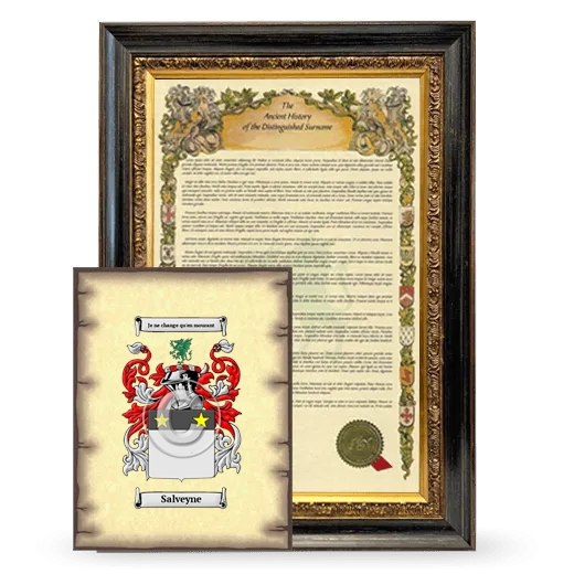 Salveyne Framed History and Coat of Arms Print - Heirloom